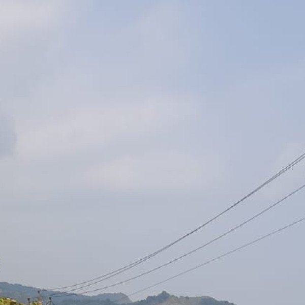Teesta River
