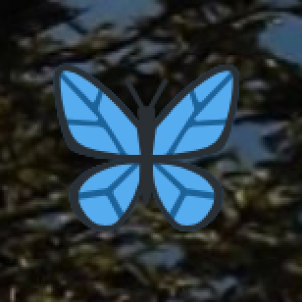 Best Waterfalls in Kerala