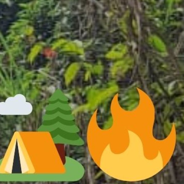 Ecological Importance