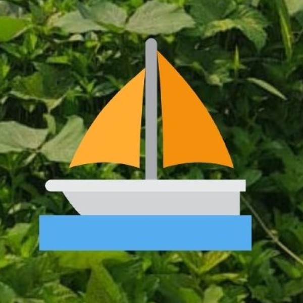 Sunset & Dinner Cruises in Guwahati