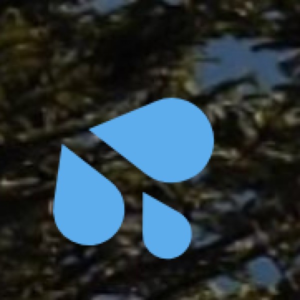 Bogatha Waterfalls – The Niagara of Telangana