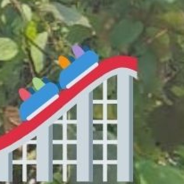 Coronation Bridge (Sevoke)