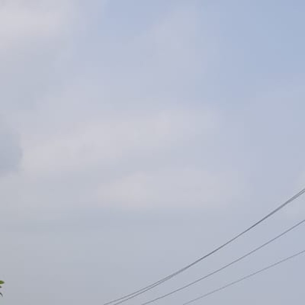 Dhuandhar Falls – The Smoky Cascade