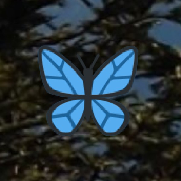 Gokak Falls (Belagavi)