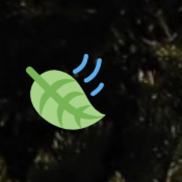 Chitrakote Falls – The Mini Niagara of India