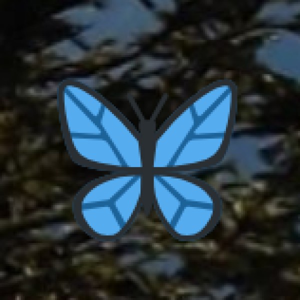 • Matrimandir (Auroville):