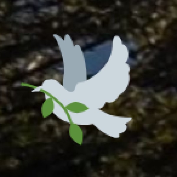 Top Waterfalls in Tamil Nadu