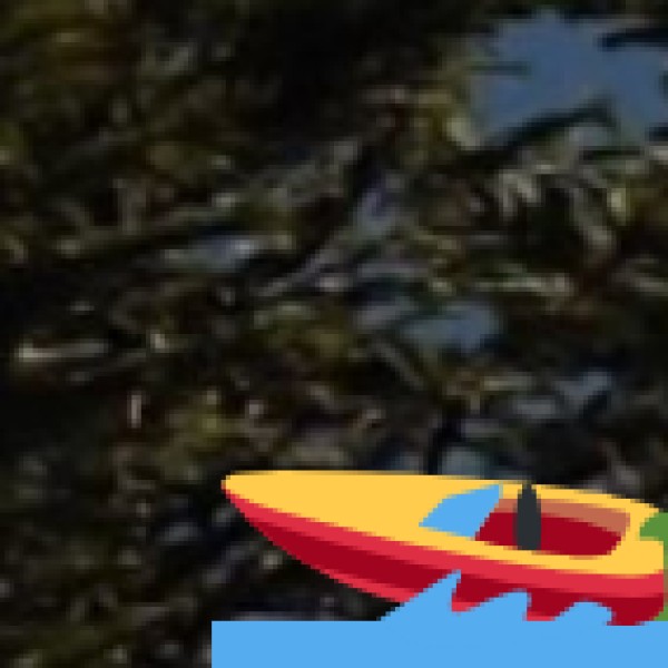 Rasikbil Lake – Cooch Behar district