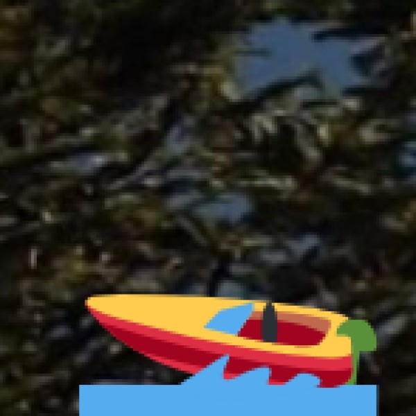 Thusharagiri Waterfalls – The Snow-Capped Beauty