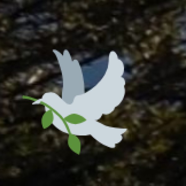 Rajasthan’s rivers, lakes, and waterfalls