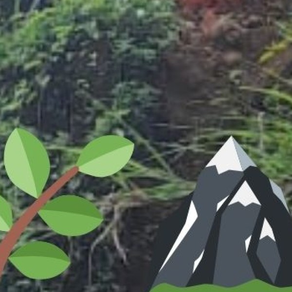 o Origin and Course: