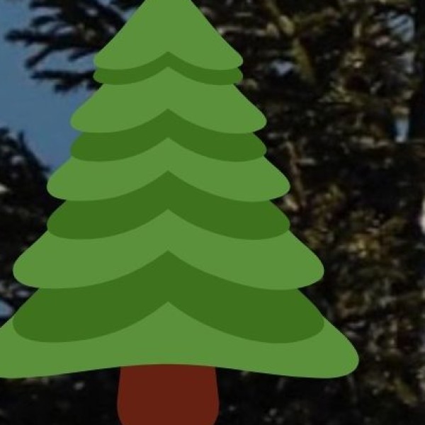 Langshiang Falls – Meghalaya’s Hidden Giant