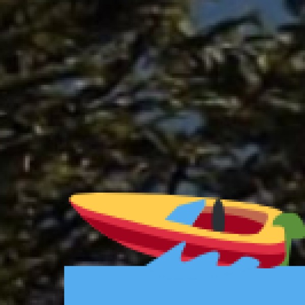 Government Initiatives