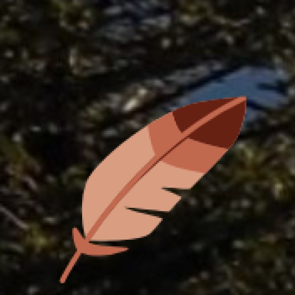 • Langpangkong Caves Waterfall (Mokokchung District):