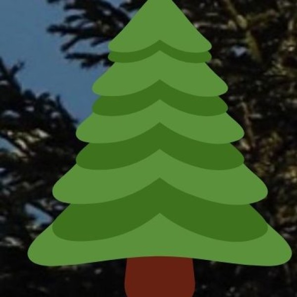 • Important Projects: