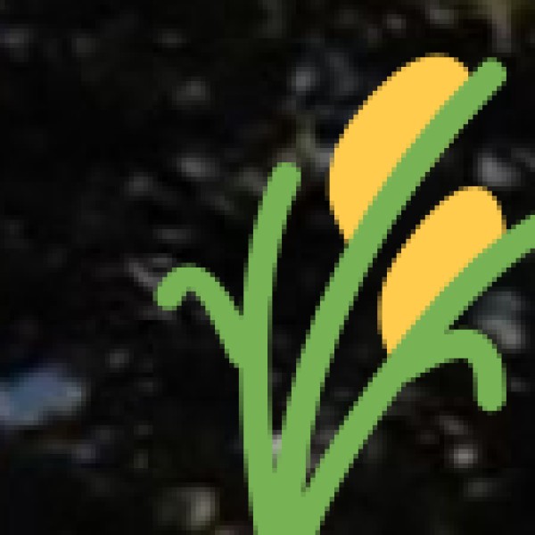 Agriculture & Economy