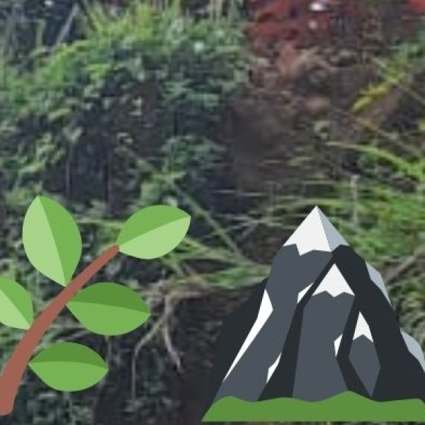 Rivers & Waterfalls in Uttarakhand: Nature's Lifelines and Scenic Wonders