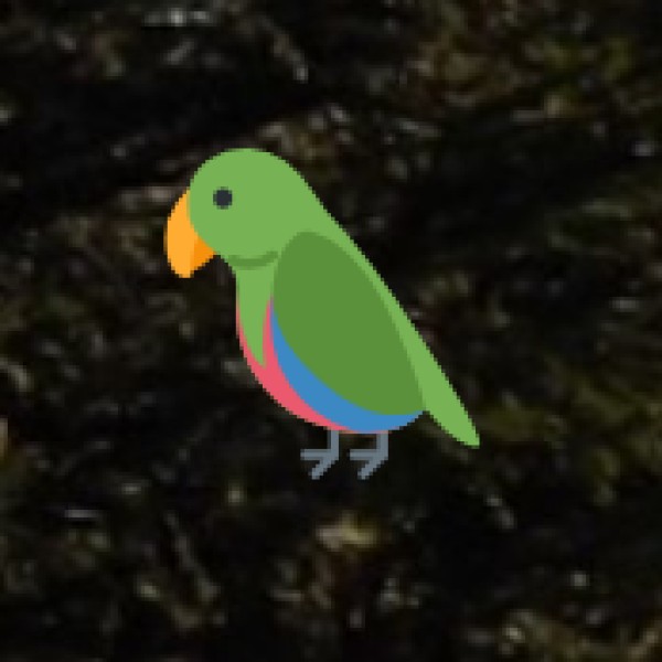 Santragachi Jheel – Near Howrah