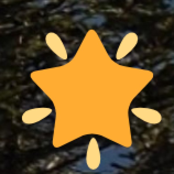 • Phek Waterfall (Phek District):