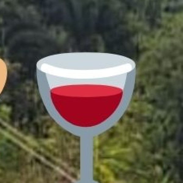 Rooftop Bars & Cocktail Lounges – City Views & Great Drinks