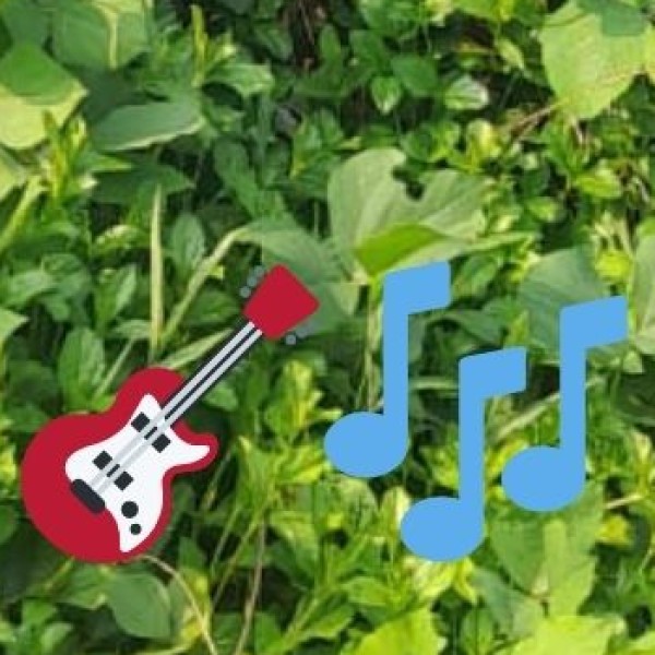 Best Live Music & Jazz Venues