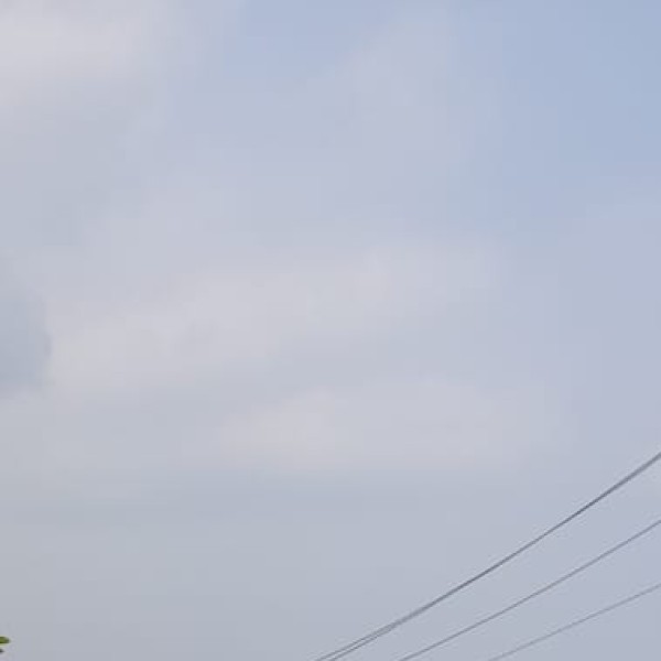 Dibrugarh (Tea City of India)