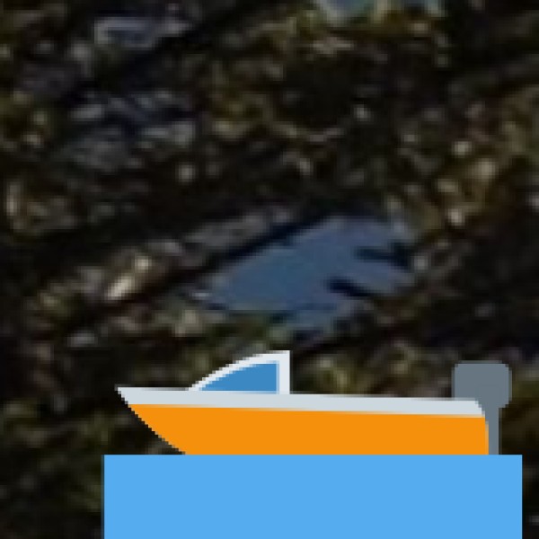 Unique Houseboat & Shikara Experience