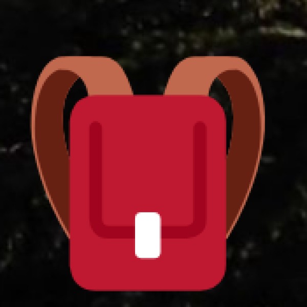 Shantiniketan Leather Goods – Artistic & Durable Creations