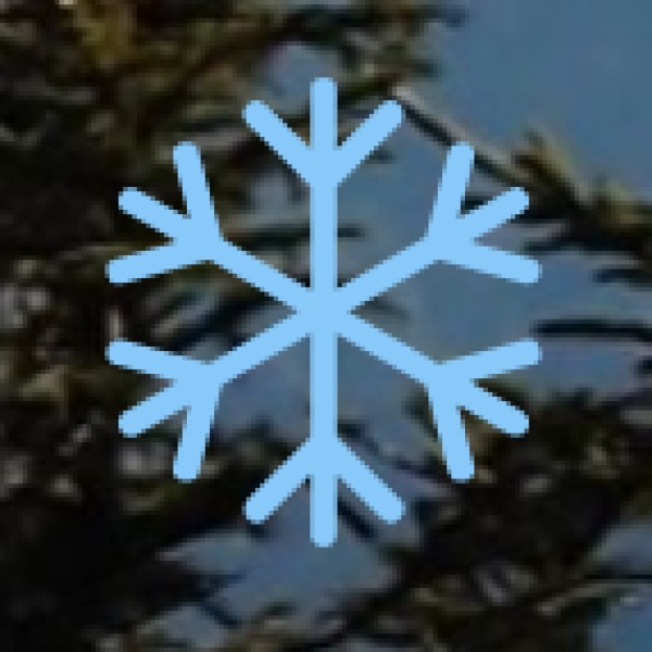 Jodhpur – The Blue City’s Handicraft Haven