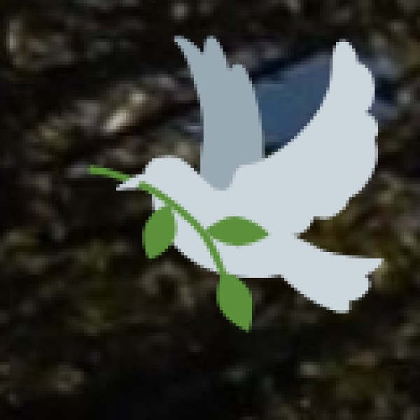 • Auroville Visitors' Centre & Boutiques in Auroville: