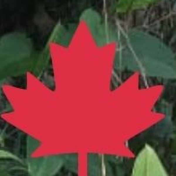 Best Bamboo Souvenirs to Look For: