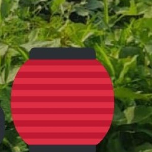 Handicrafts & Shopping