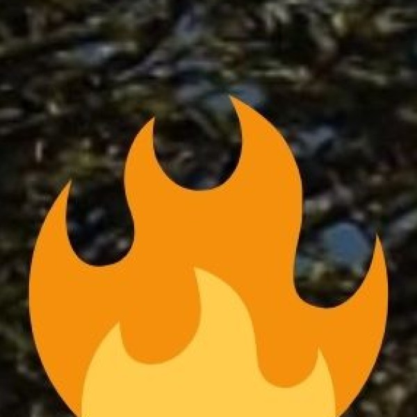 Palm Leaf Engravings – Ancient Odia Script & Art