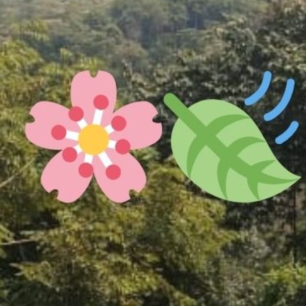 Mysore – The Land of Silk & Sandalwood