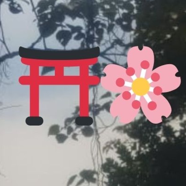 Chanderi & Maheshwari Sarees – The Royal Weaves