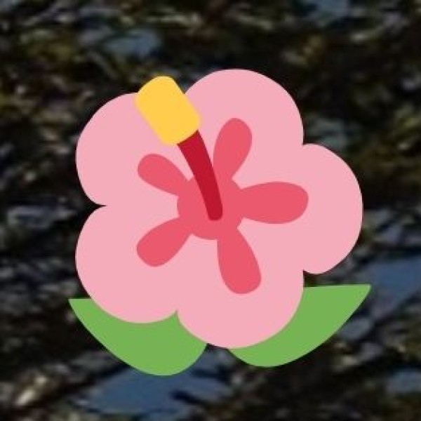 Shopping & Handicrafts in Sikkim