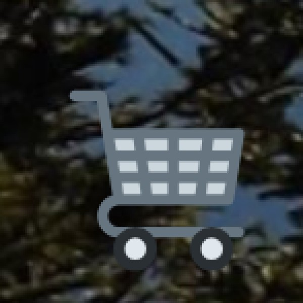 Princess Park Market (Diu) – A Coastal Shopping Delight