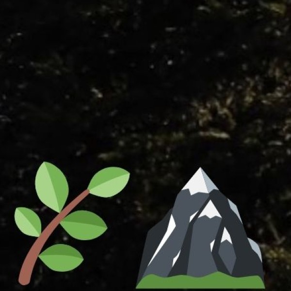 Tea, Coffee, and Homemade Chocolates