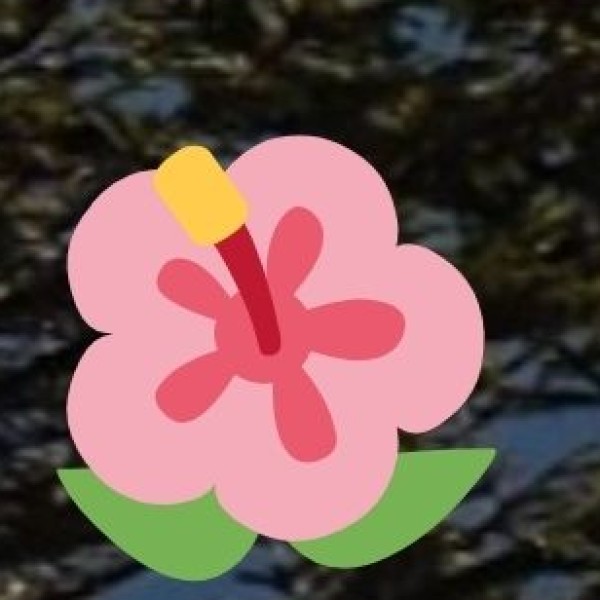 Best Shopping Areas in Ladakh