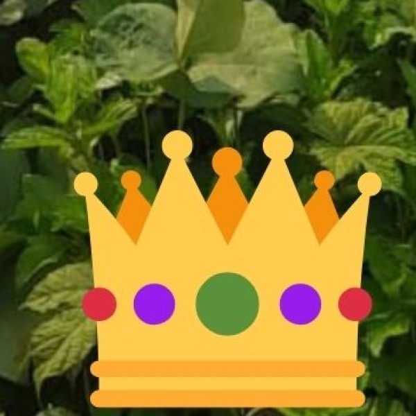 WHAT TO BUY: ICONIC SOUVENIRS