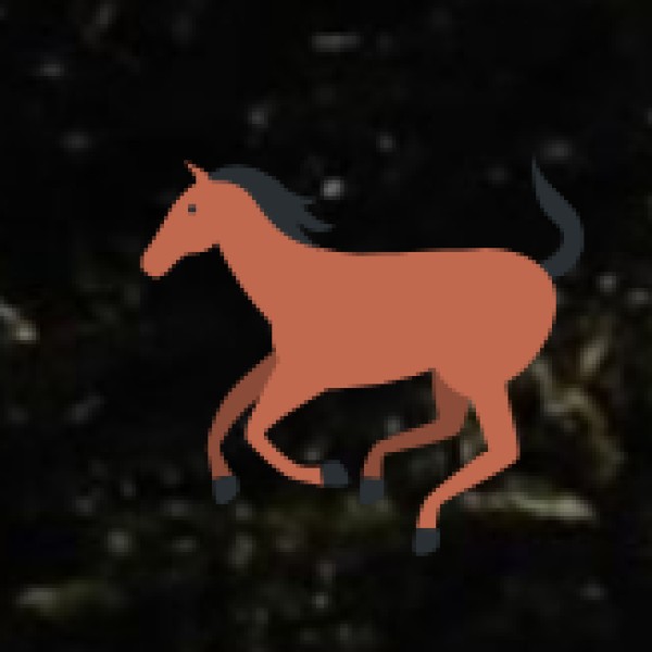 Bhuj Haat – The Cultural Shopping Hub of Kutch