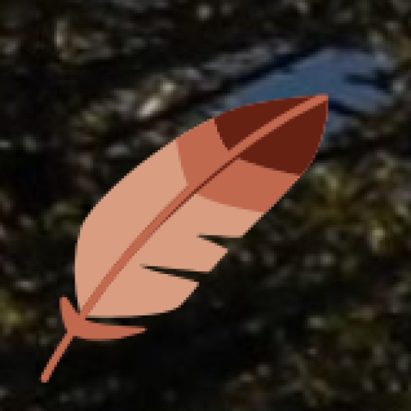 Sustainability and Women Empowerment