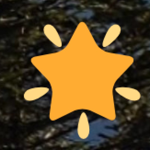 Best Jewelry to Buy: