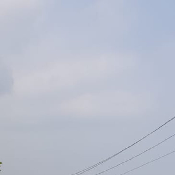Kasuti Embroidery