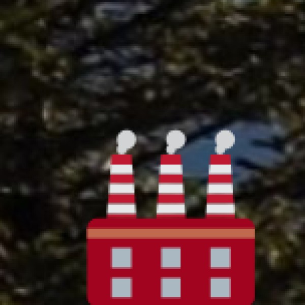 Popular Bamboo & Cane Items: