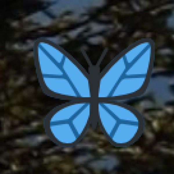 Handicrafts & Shopping in Arunachal Pradesh – Best Souvenirs to Buy