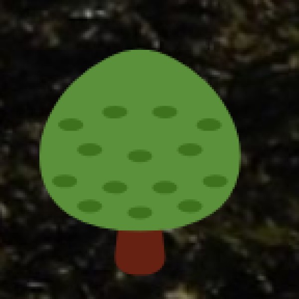 Coorg – The Coffee & Spice Heaven