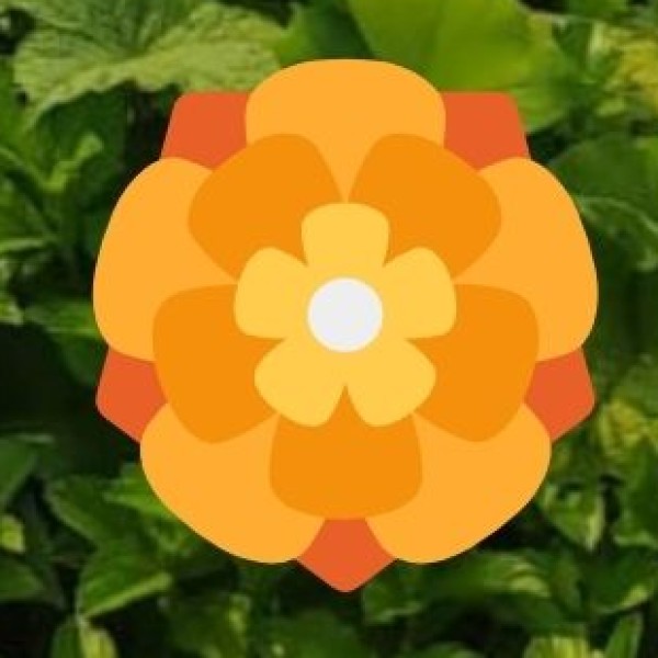 Woolen Shawls & Carpets from Tawang