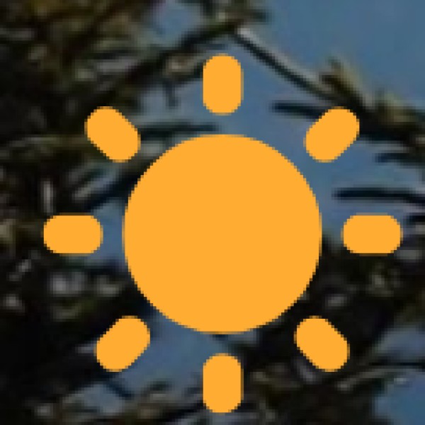 Shopping & Local Markets