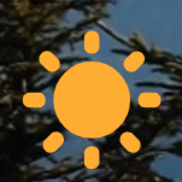 Chhattisgarh – Best Souvenirs to Buy